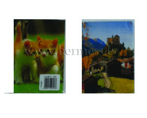 Foto albums P2-3536